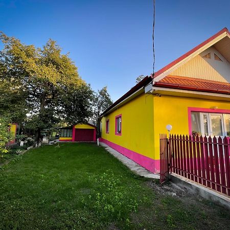 Отель Casuta Mariuca Greci Экстерьер фото