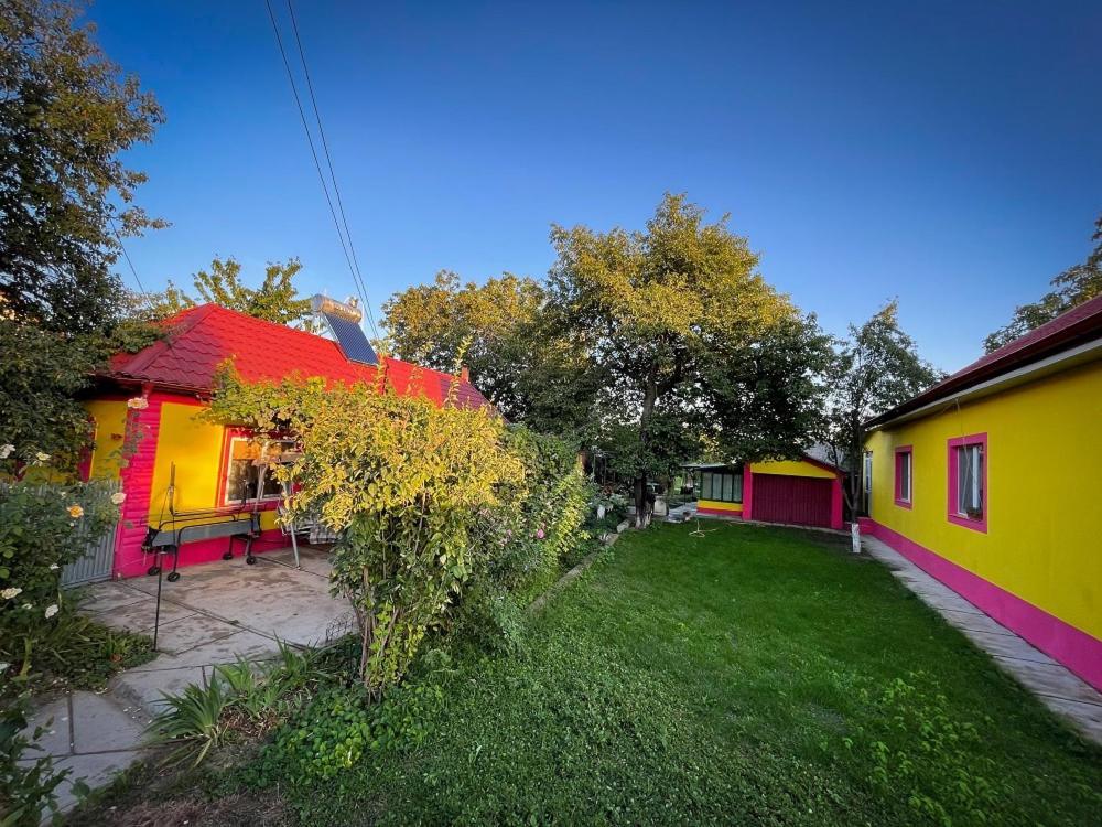 Отель Casuta Mariuca Greci Экстерьер фото